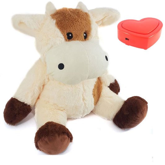 KOESTERKNUFFEL / HARTSLAGKNUFFEL | Koe